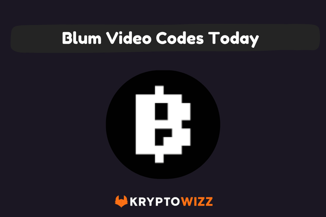 Blum Daily Video Codes