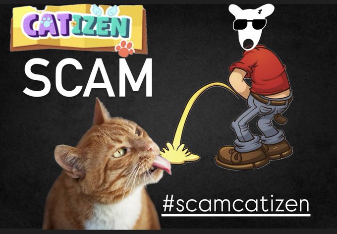 Catizen Airdrop Sparks Controversy