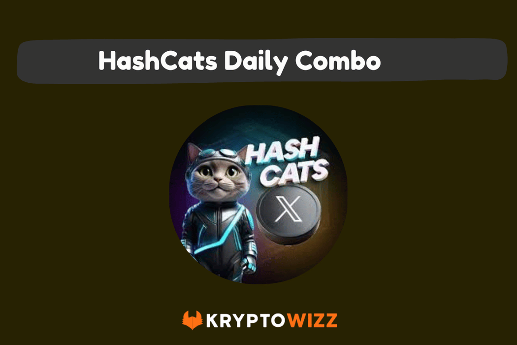 HashCats Daily Combo